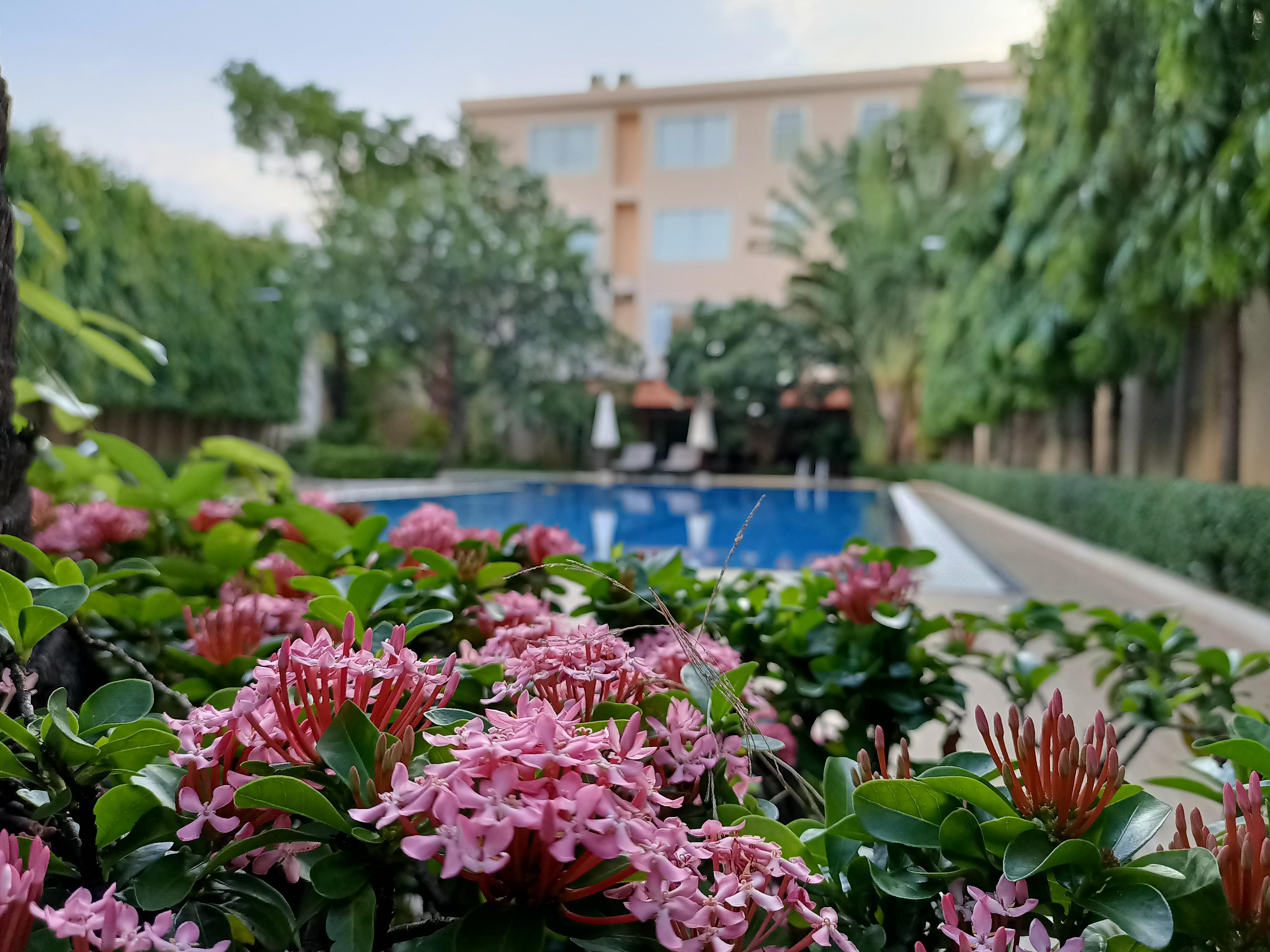 Starry Angkor Hotel Ciudad de Siem Riep Exterior foto