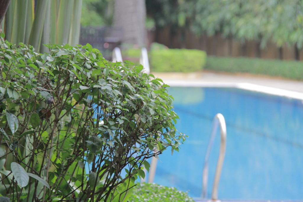 Starry Angkor Hotel Ciudad de Siem Riep Exterior foto
